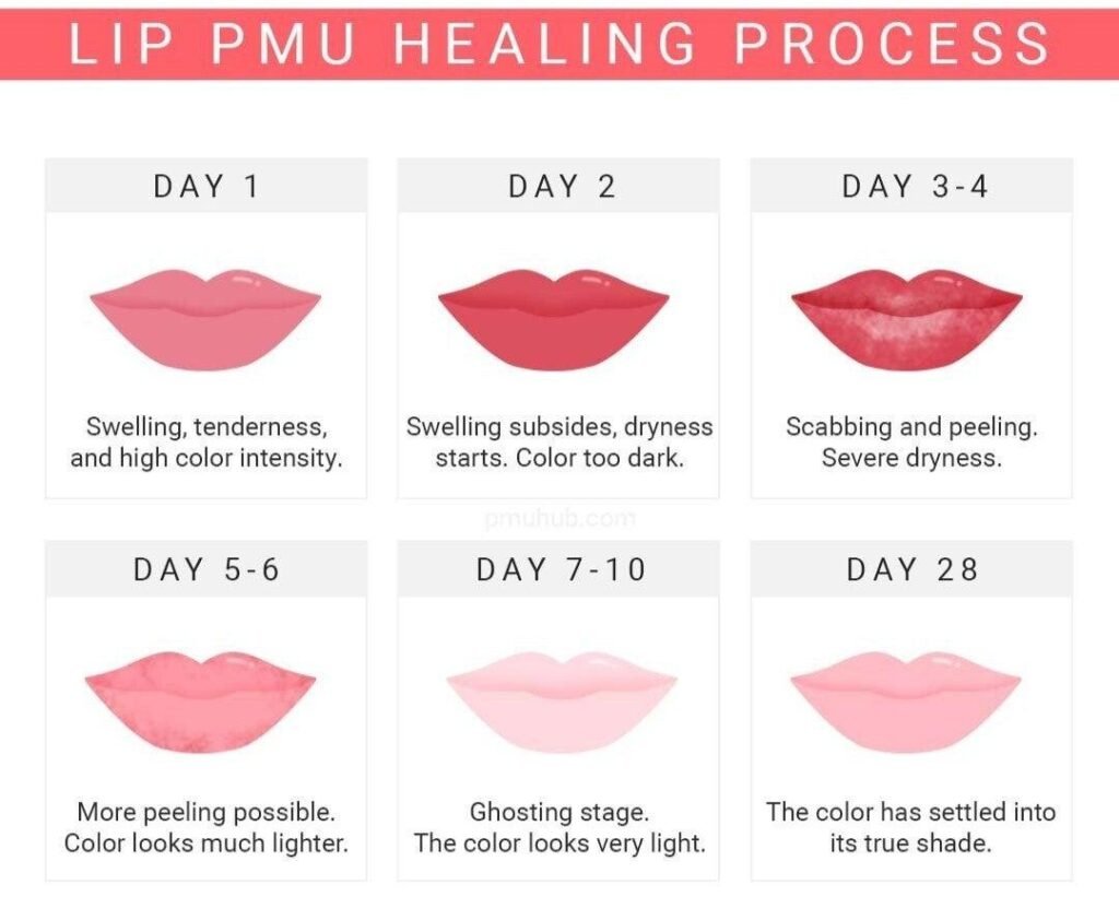 Healing stages of Lip Micropigmentation