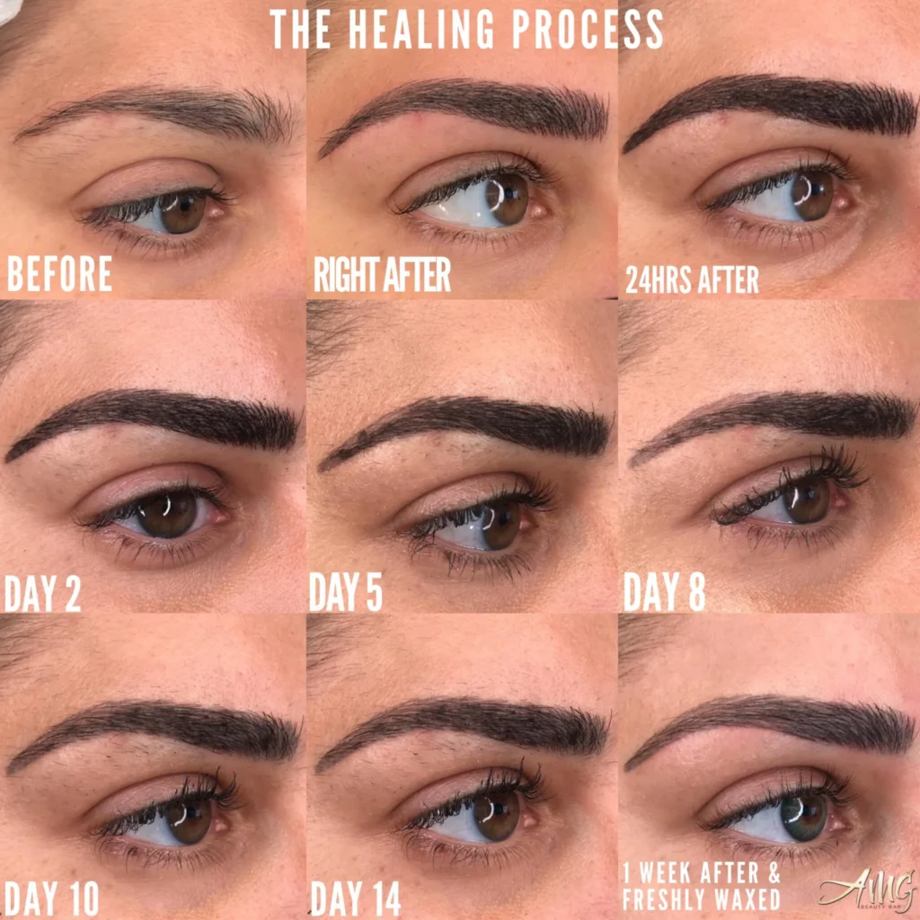 eyebrow microblading daywise results